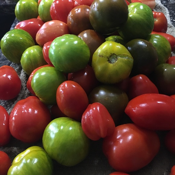 Meet your Posher, Nancy - Picture 1 of 1